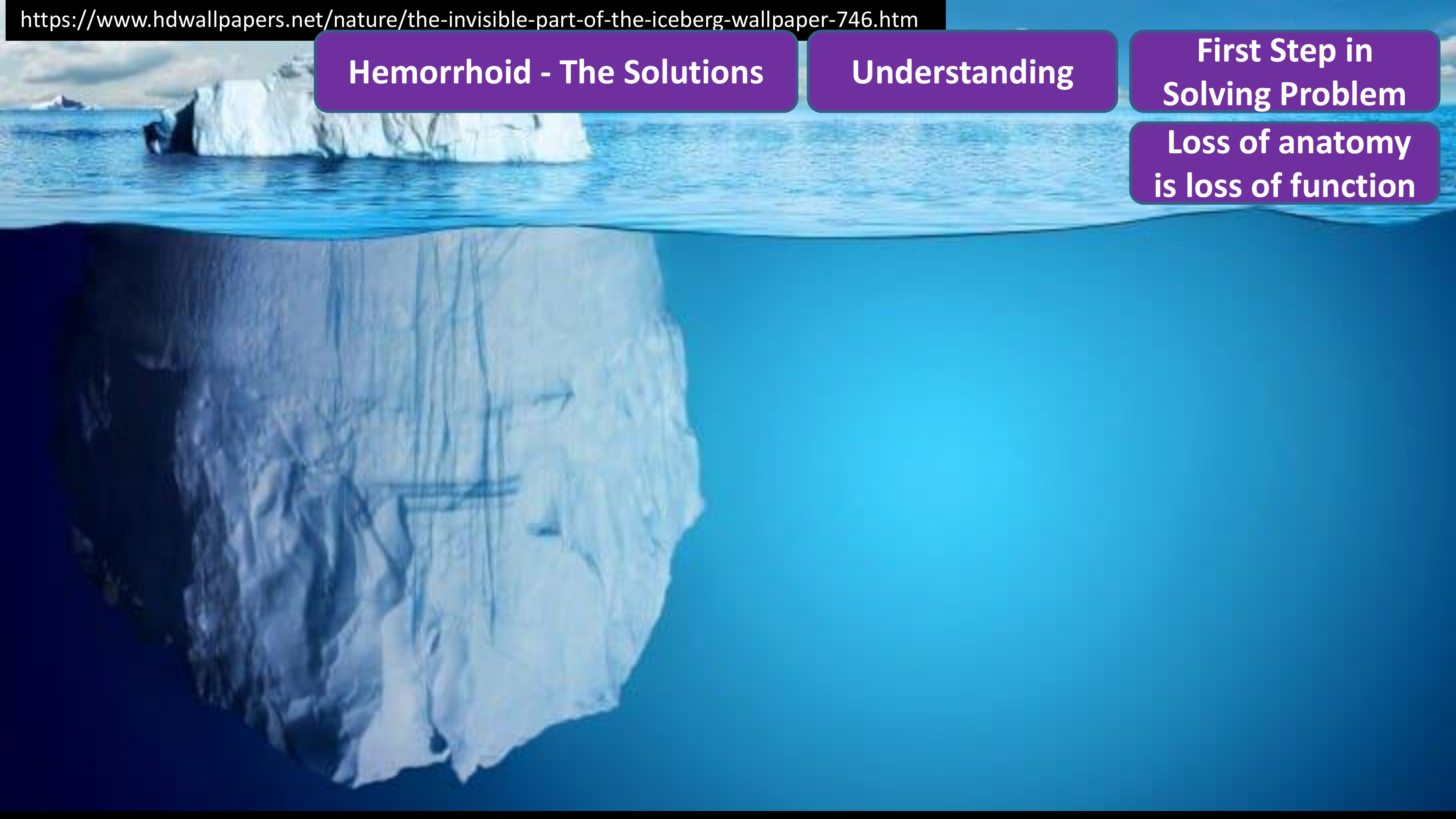 Solution 24